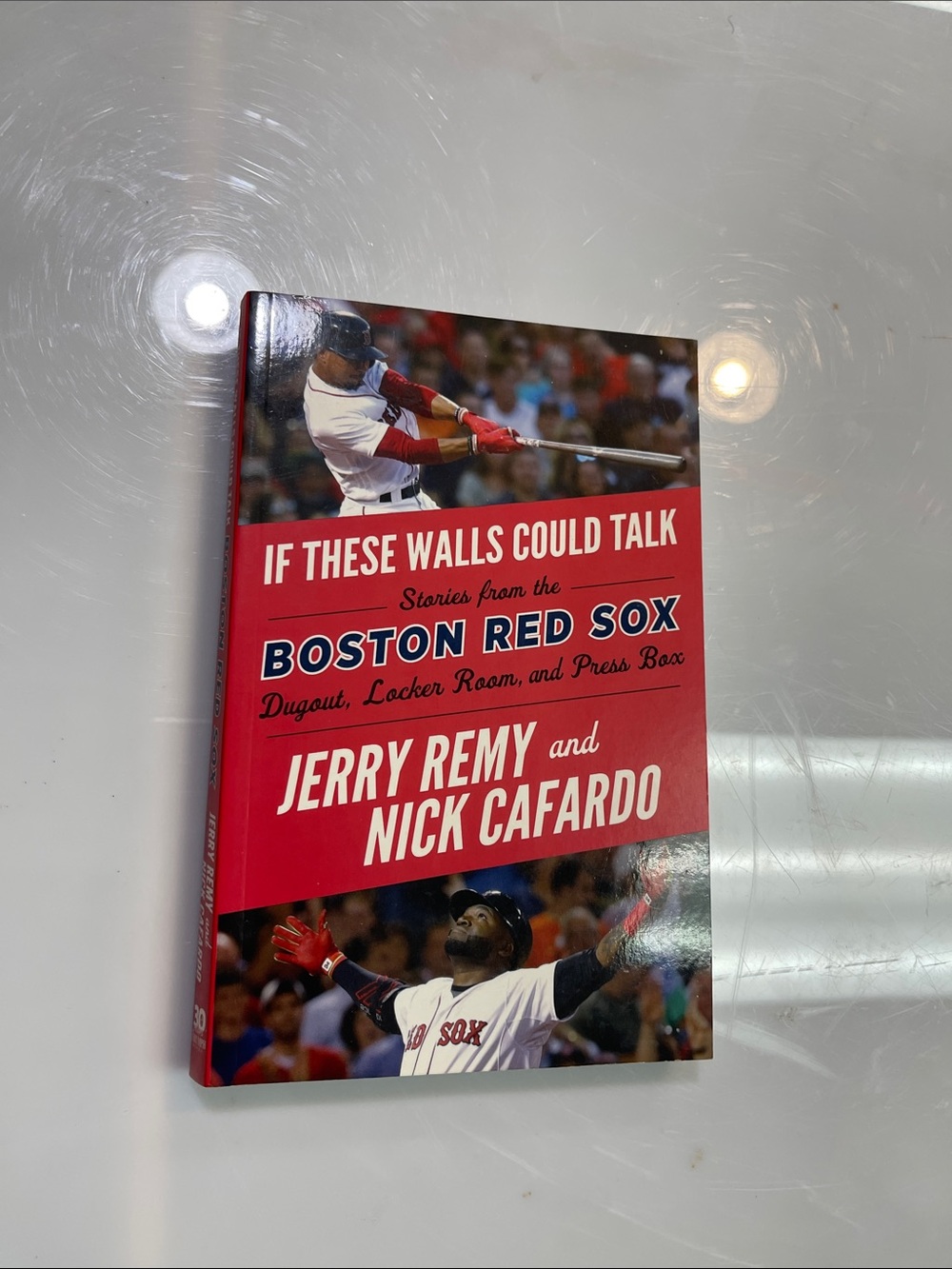 Boston Red Sox Wall Art Panel - Red Team Design